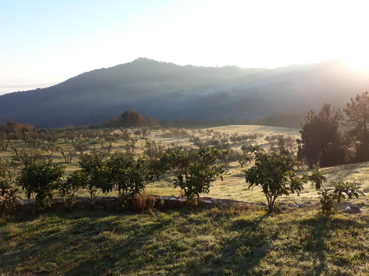 Agriturismo Aia Leccioni Micciano 外观 照片