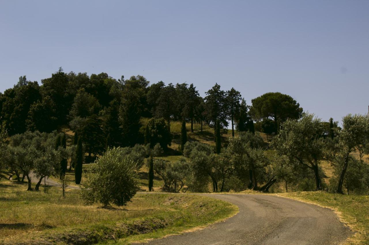 Agriturismo Aia Leccioni Micciano 外观 照片