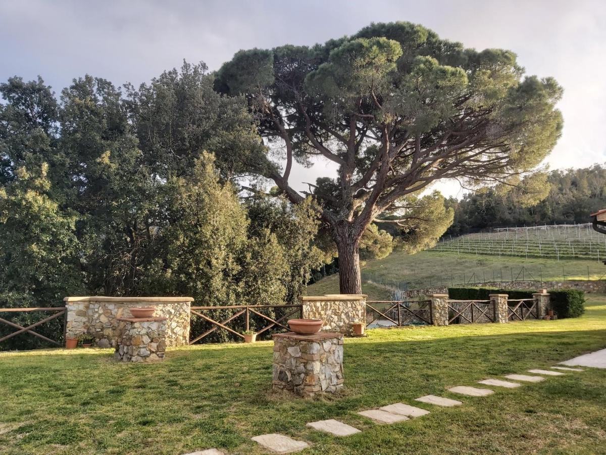 Agriturismo Aia Leccioni Micciano 外观 照片