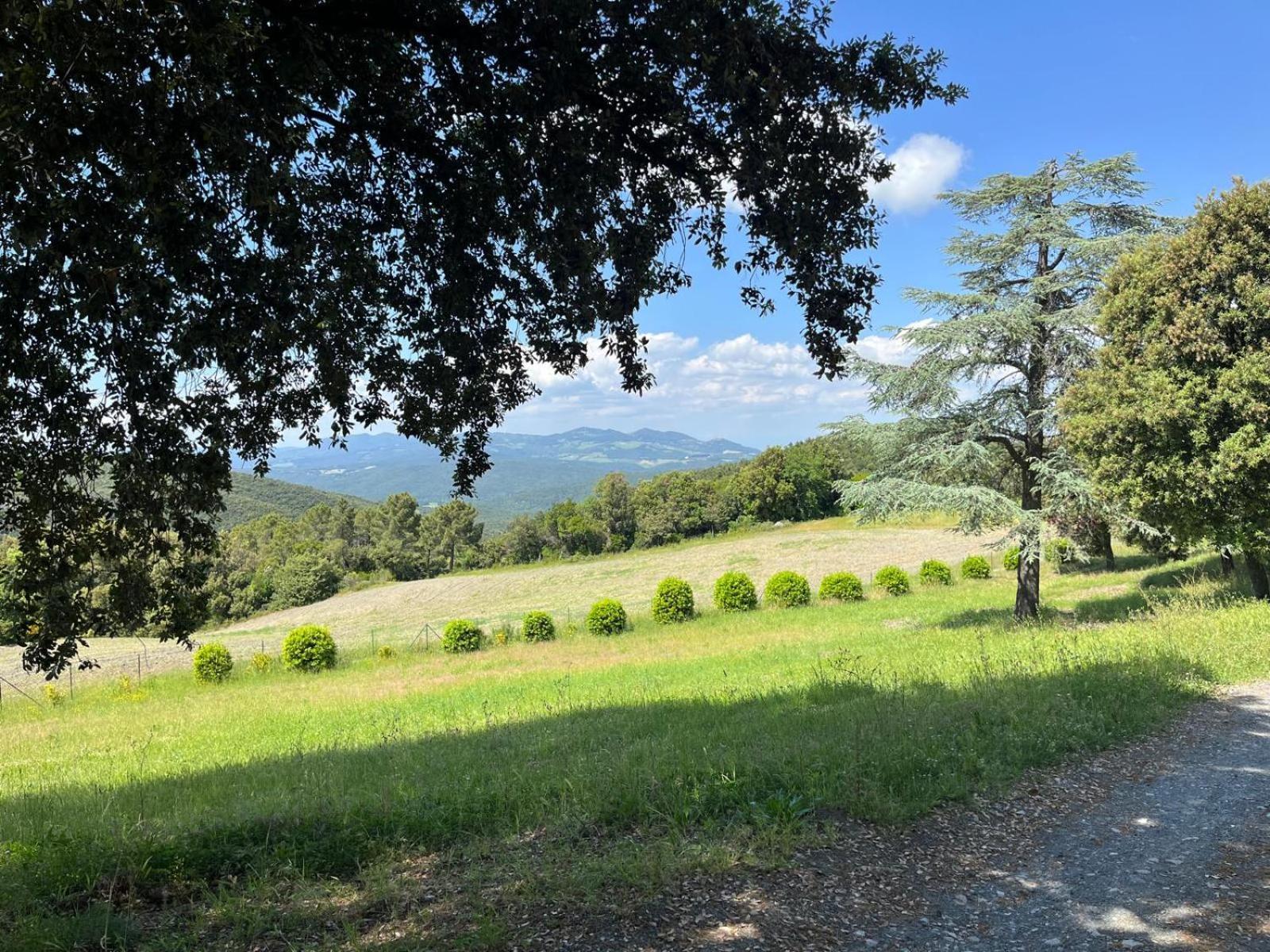 Agriturismo Aia Leccioni Micciano 外观 照片